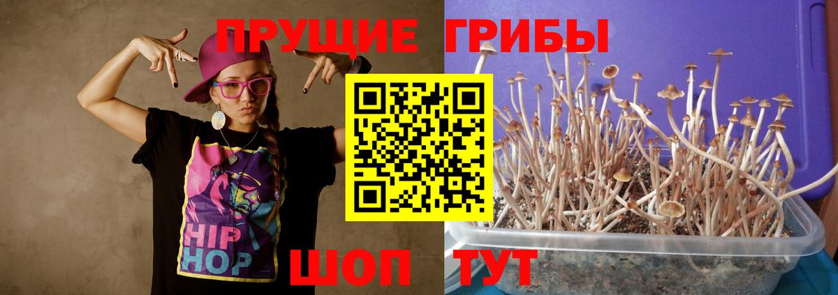 Псилоцибиновые грибы Psilocybe  Галлюциногенные грибы мухоморы  Вход с VPN  Ставрополь 
