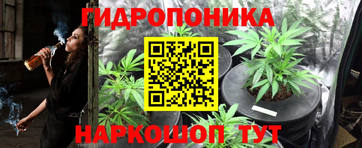 Каннабис VHQ Ставрополь